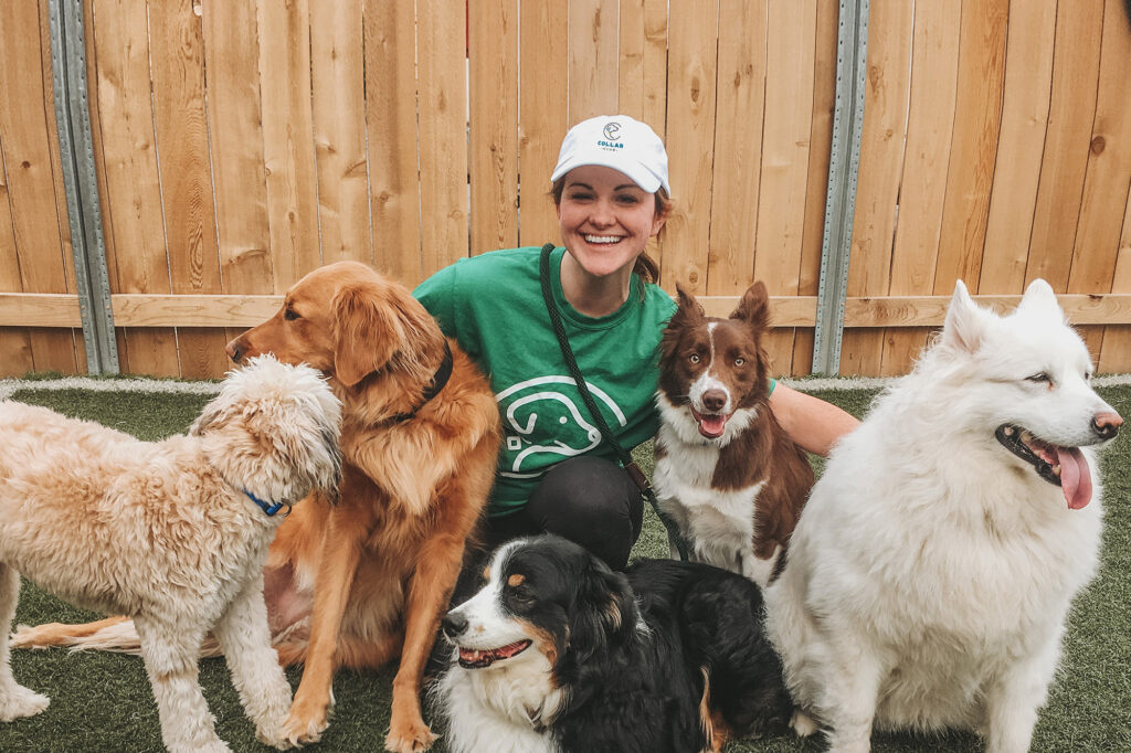 Dog Daycare attendant hanging out with happy pups