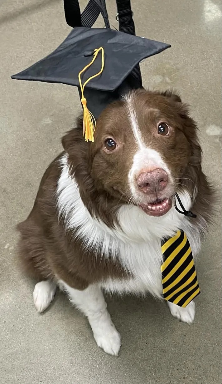Graduation day at Collasr