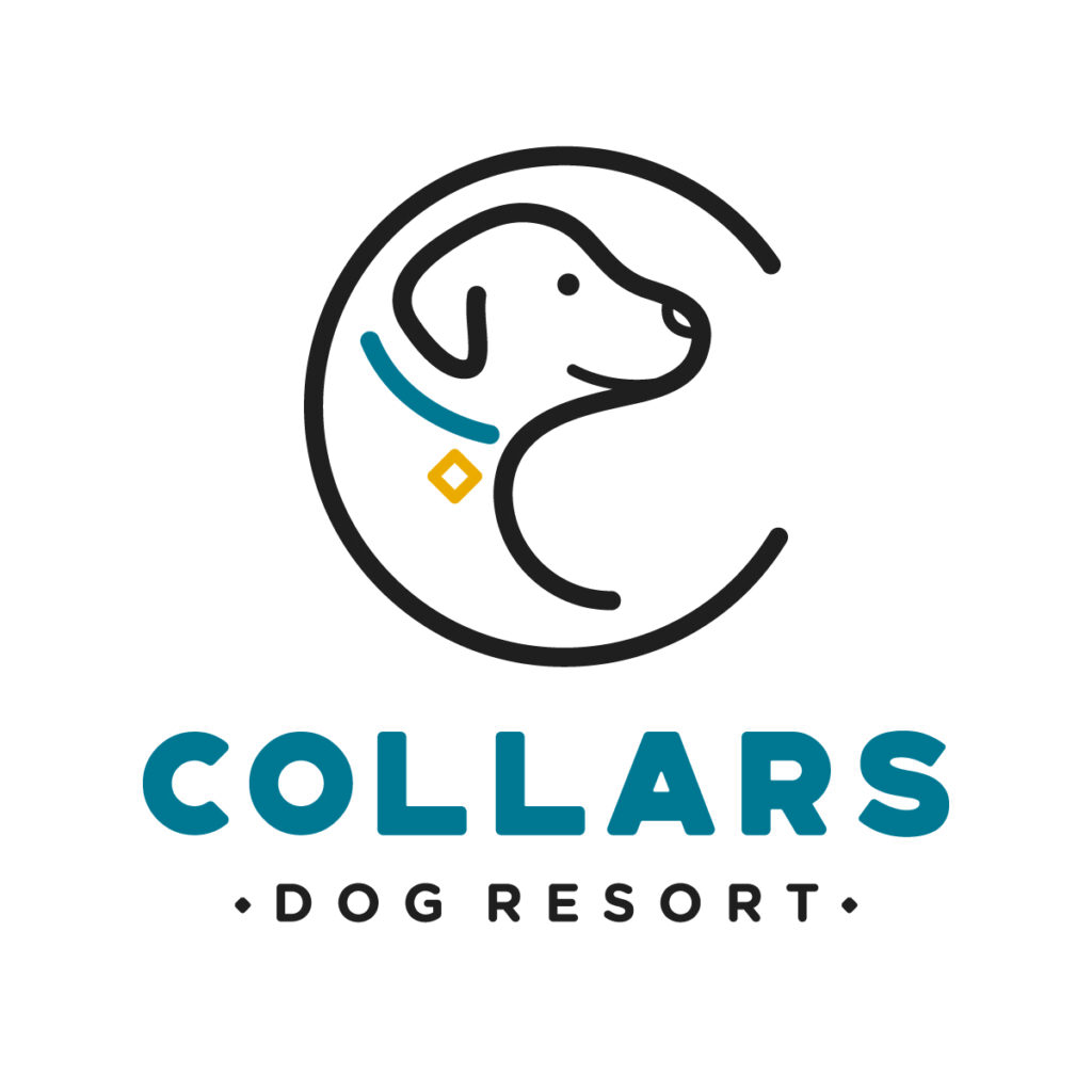 Collars Dog Resort Olathe logo - Premium dog daycare, boarding, grooming and training in Olathe Kansas