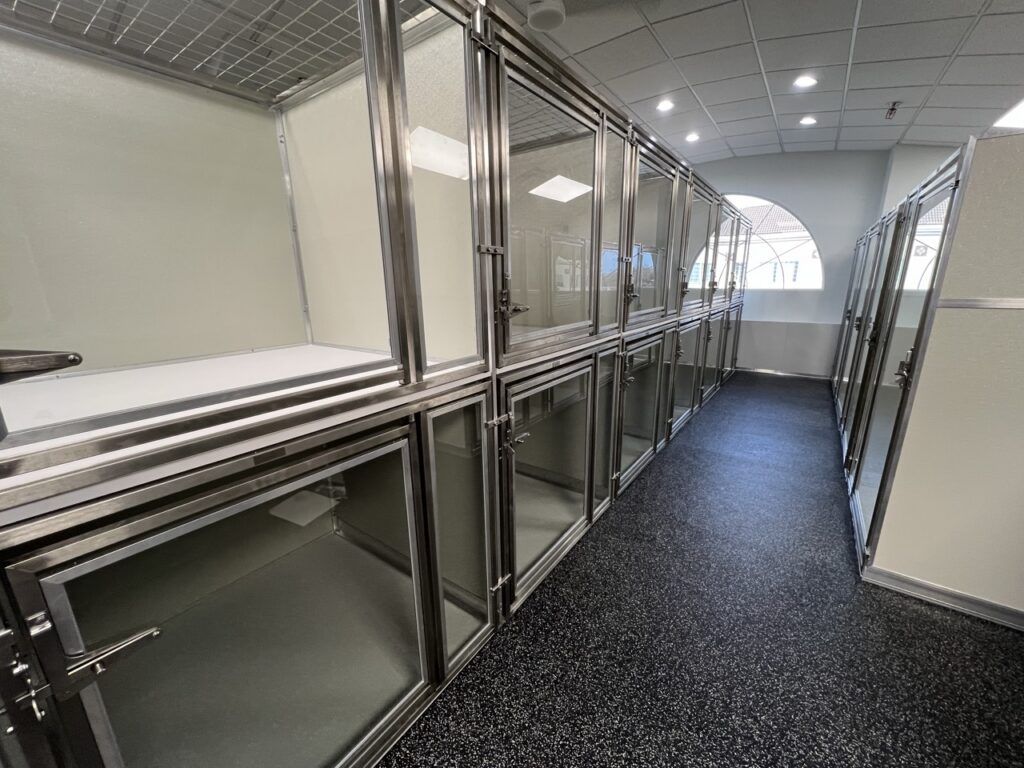Modern luxury dog boarding suites at Collars Dog Resort Olathe – stainless steel glass kennels in clean hallway