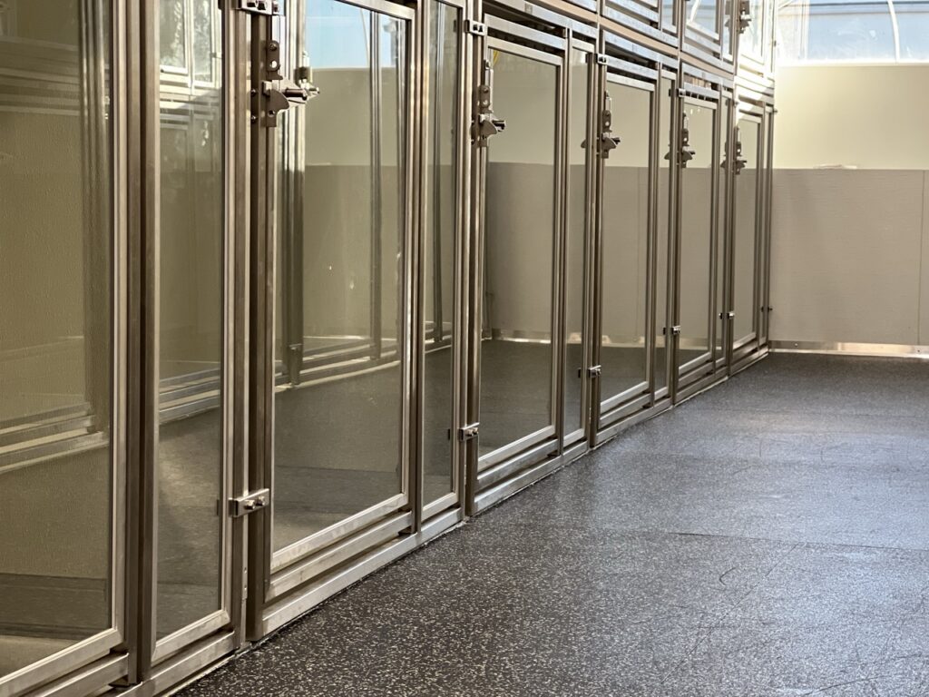 Modern stainless steel glass dog boarding suites at Collars Dog Resort Olathe – clean spacious kennels